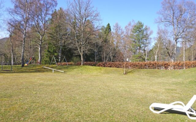 Birkenwald 25546