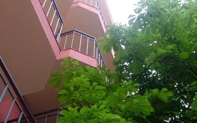 Terra Guest House