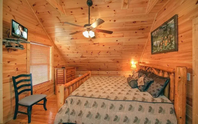 Beary Cozy