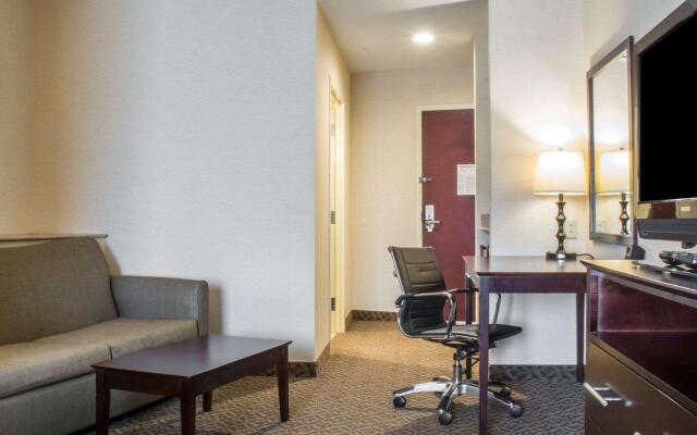 Comfort Suites Cicero - Syracuse North