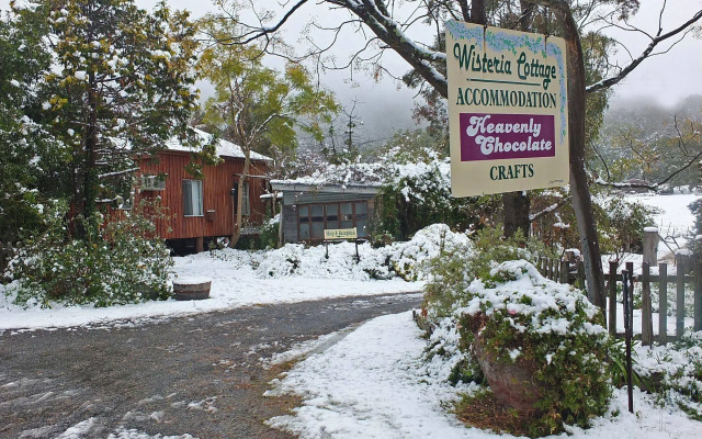 Wisteria Cottage and Cabins