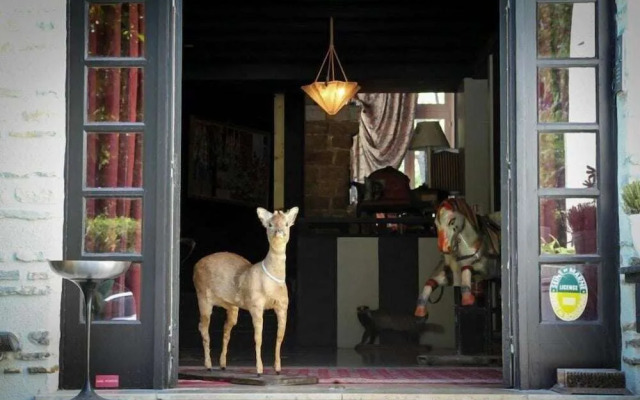 Hôtel Les Biches