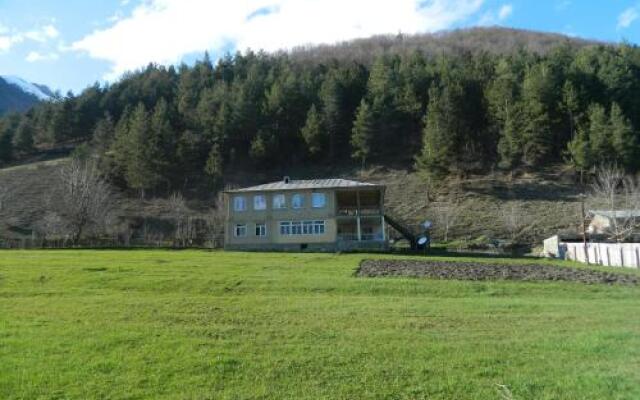 alex house