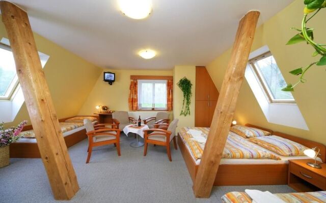 Hotel Stary Mlyn