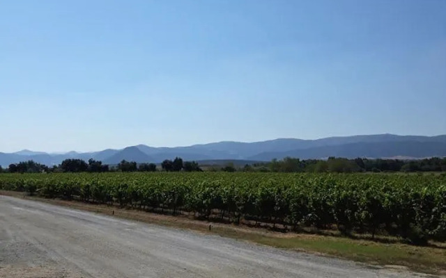 B&B Ecoturismo L'Elicriso