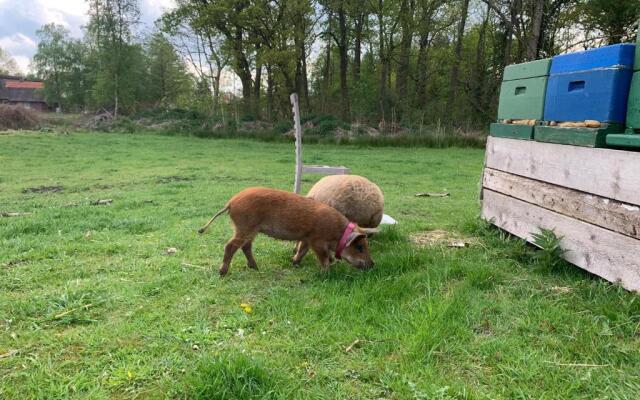 Ferienwohnung Süderfeld