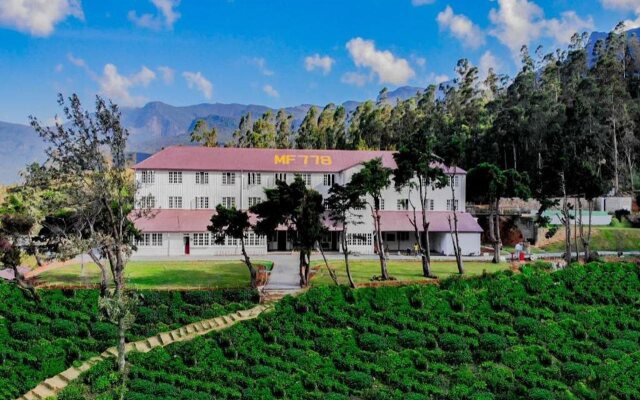 Tea & Experience Factory