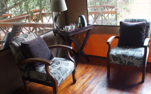 Lion Tree Top Lodge
