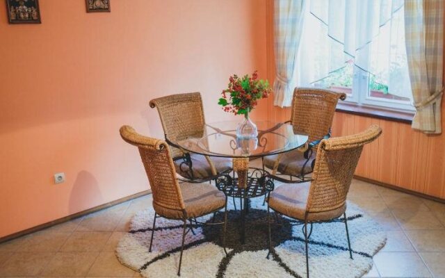 Червона Рута