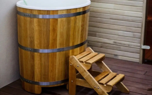 Villa in Moravia With Infrared Sauna