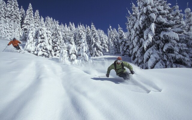 Studio La Savoyarde - Vision Luxe