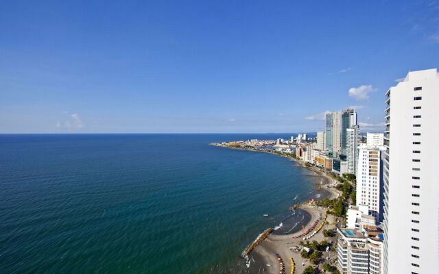 Palmetto Penthouse Deluxe