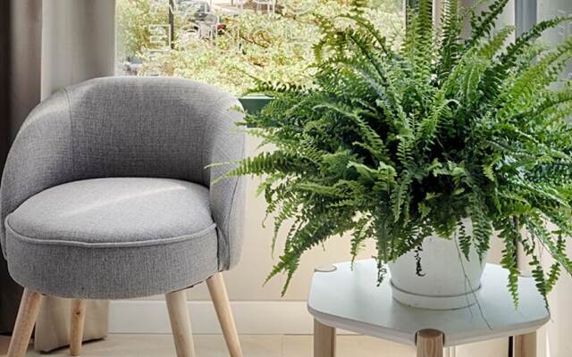 Opera House Valencia B&B