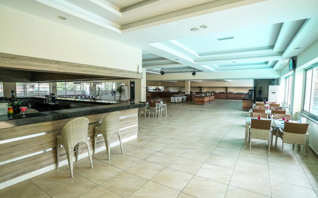 Catty Cats Garden Hotel
