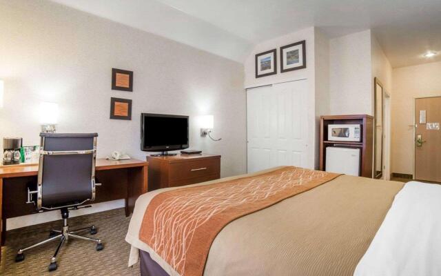 Comfort Inn Elko