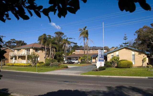 Dolphins of Mollymook Motel