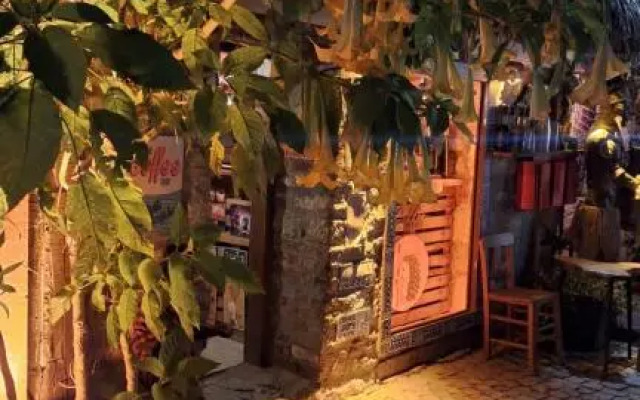 Riccio Pansiyon Cafe Sigacik