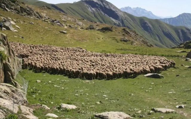 Studio in Saint-sorlin-d\"arves