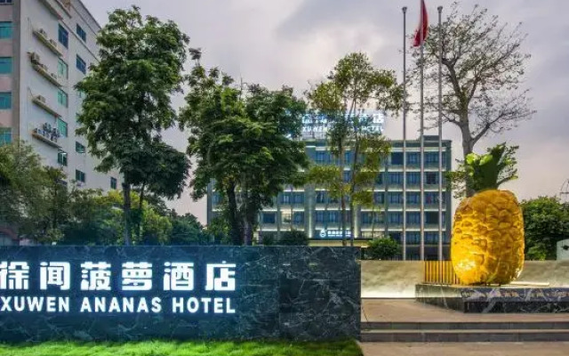 Xuwen Pineapple Hotel