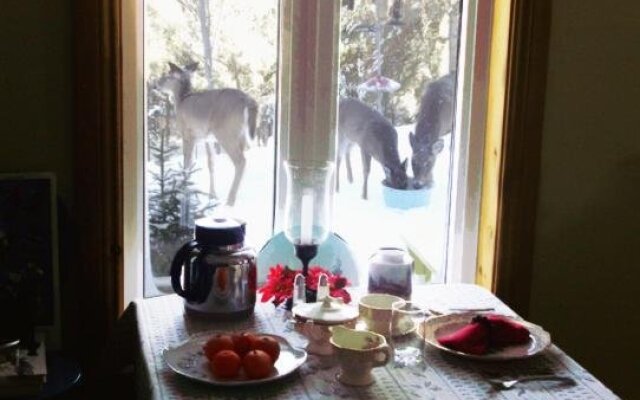 Gîte La Petite Douceur