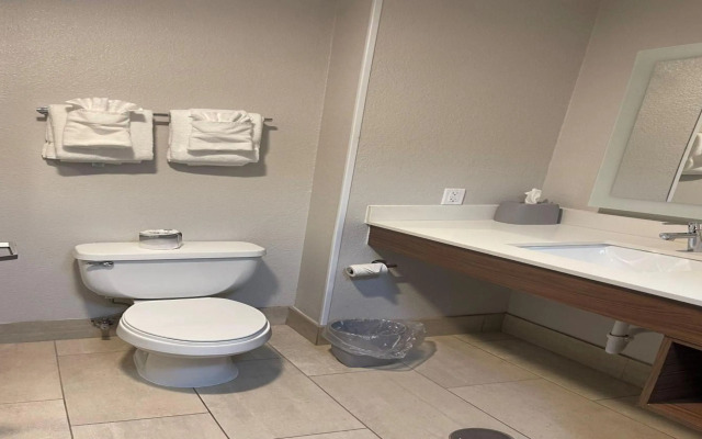 Holiday Inn Express Hotel & Suites Ashtabula-Geneva by IHG