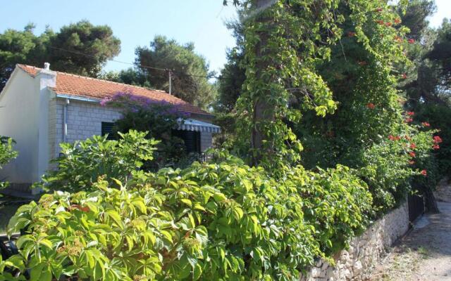 Holiday Home Dragan - 50m from sea
