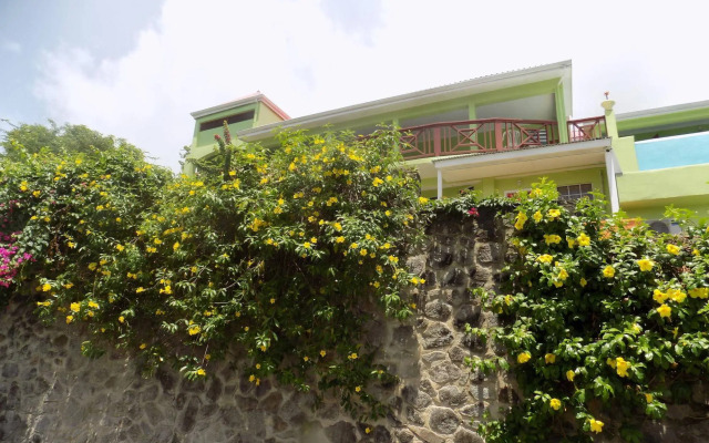 Tropical Paradise View