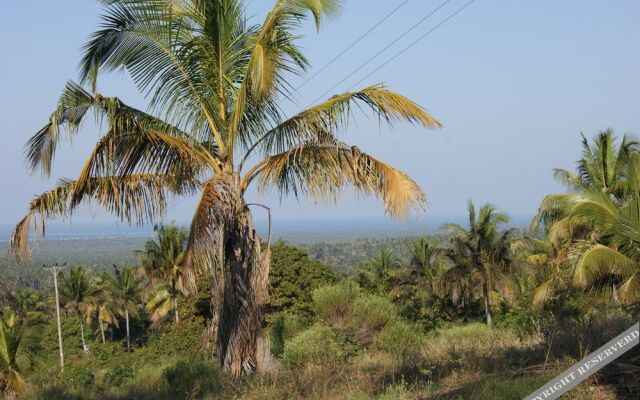 Pura Vida Lodge