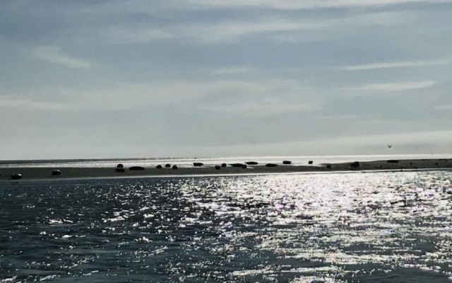 STELLA MARIS Village vacances