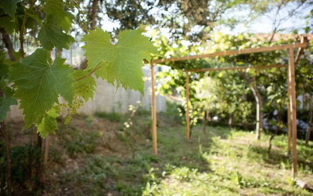 Sogno di Mare in Lido Riccio