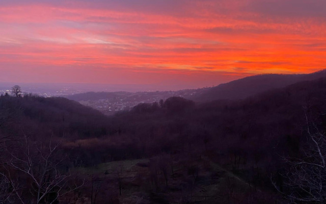 “Bear Hill” Apartments