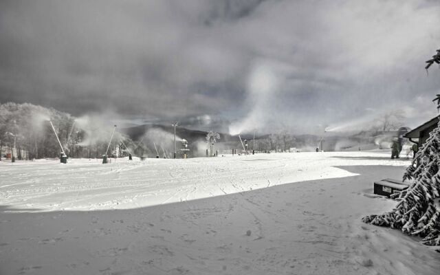 Ski-in Ski-out Wintergreen Condo w/ Balcony