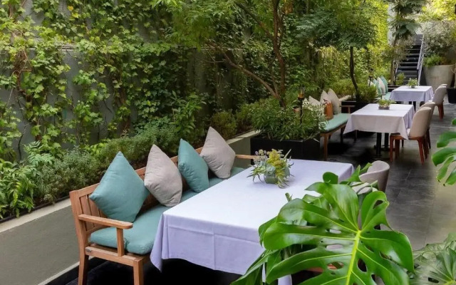 Casa Hedera México