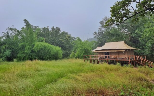 The Untamed Bandhavgarh by TUTC