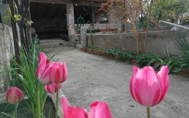 Apartments Gorka