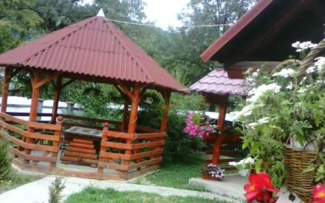 Floare de Maramures