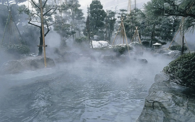 Awara Onsen Seifuso