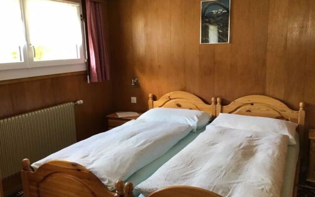 Apartment Adler Saas-Fee 20561