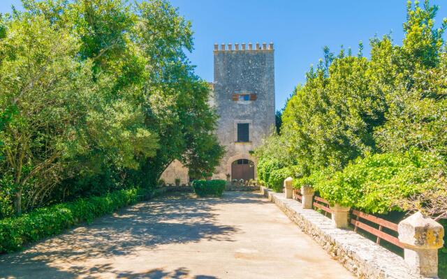 Son Vivot - Nº1 Doble Sup