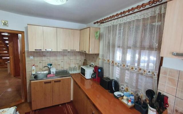 Casa de Vacanta Silvia