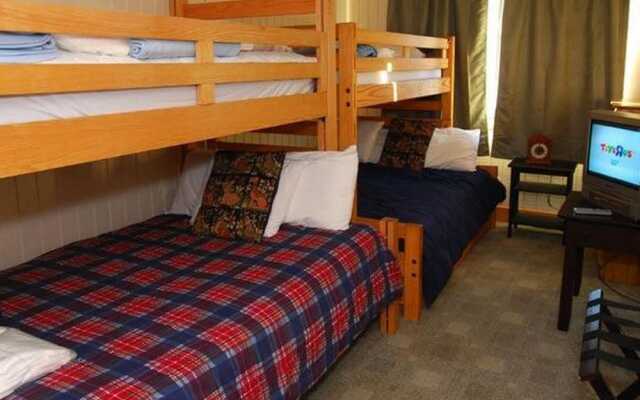 4 Br: Shamrock 28