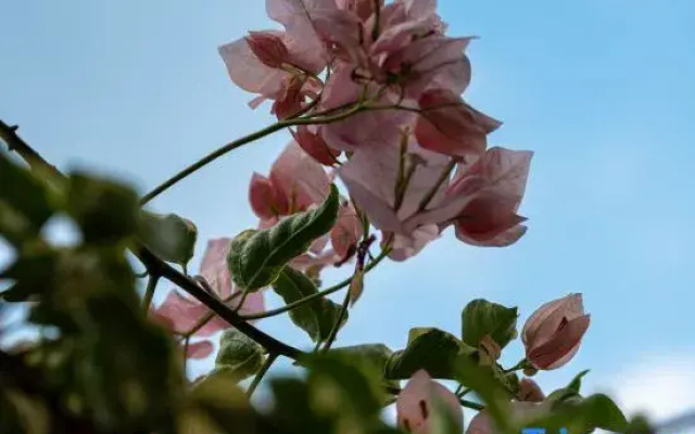 Quanzhou Tongyu Family Homestay (West Street Kaiyuan Temple)