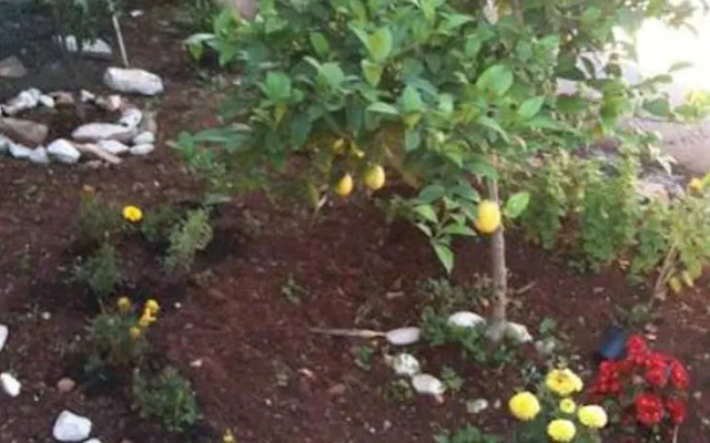 Apartments Lejla Korčula