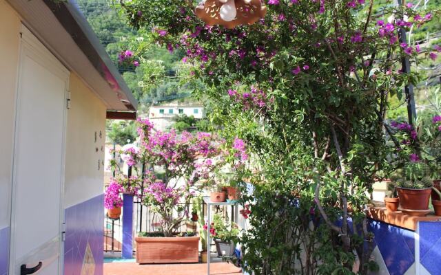 B&B Reginella