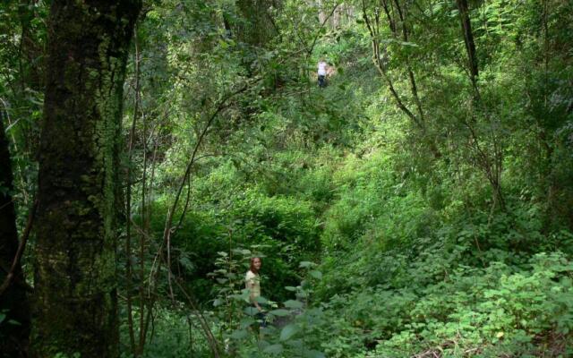 Magoebaskloof Getaway