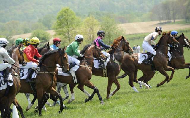 Salamander Resort And Spa