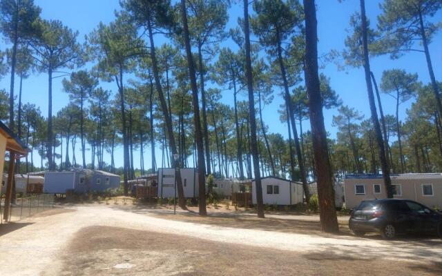 Bungalow de 3 chambres avec piscine partagee jardin amenage et wifi a Saint Julien en Born a 4 km de la plage