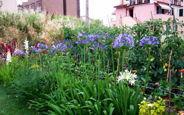 Guest House Arancia145