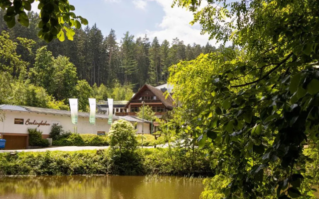 Waldhotel Ehrental