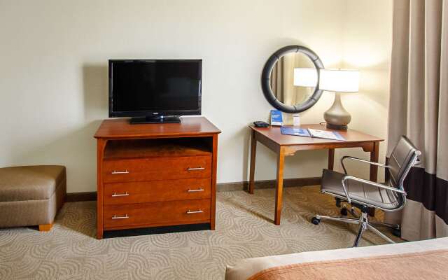 Comfort Inn & Suites Santee